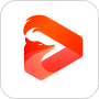 StreamFox for Video