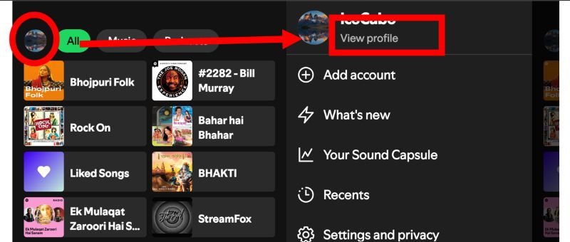 select View profile | Add Friends on Spotify