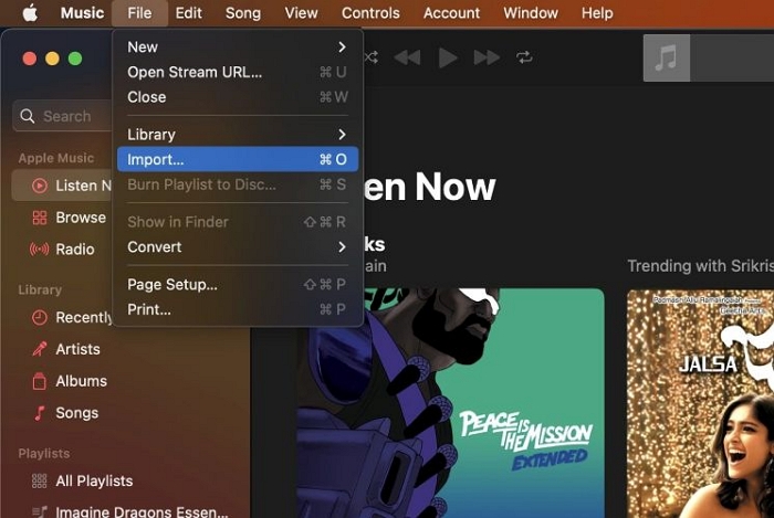 choose Import | Add Local Files to Apple Music