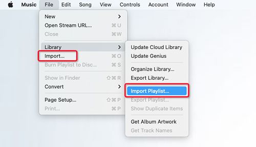 choose File | Play Spotify on HomePod