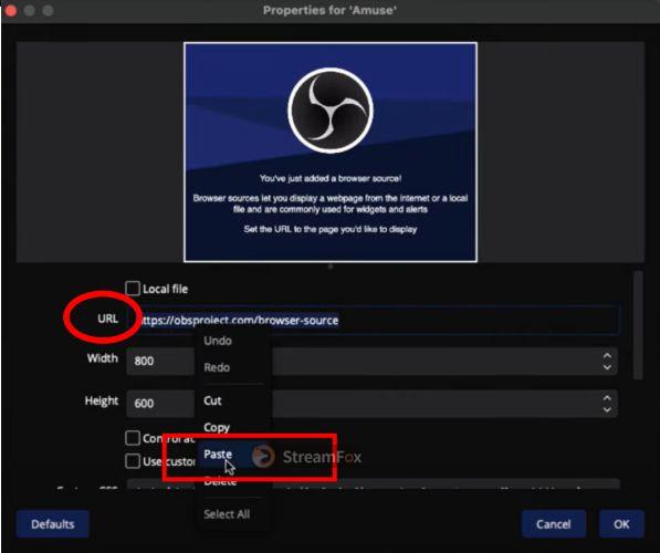 select Paste | Add Spotify to OBS