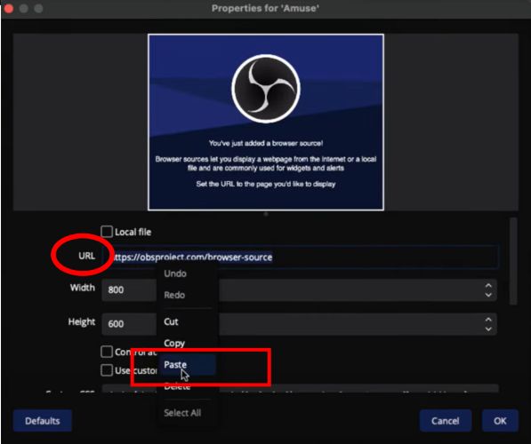 select Paste | Add Spotify to OBS