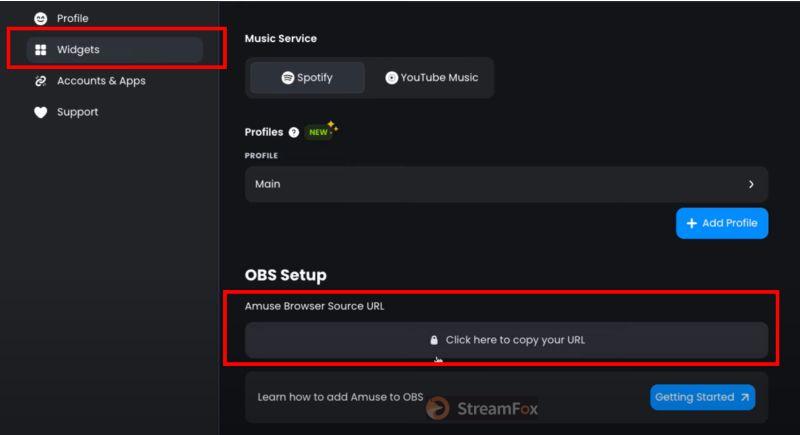 display widget | Add Spotify to OBS