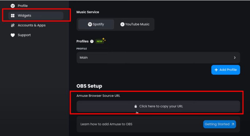 display widget | Add Spotify to OBS