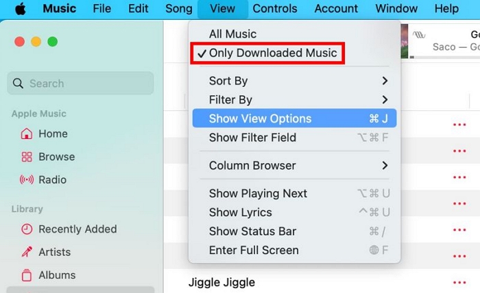 select Only Downloaded Music | How Many Songs You Have on Apple Music