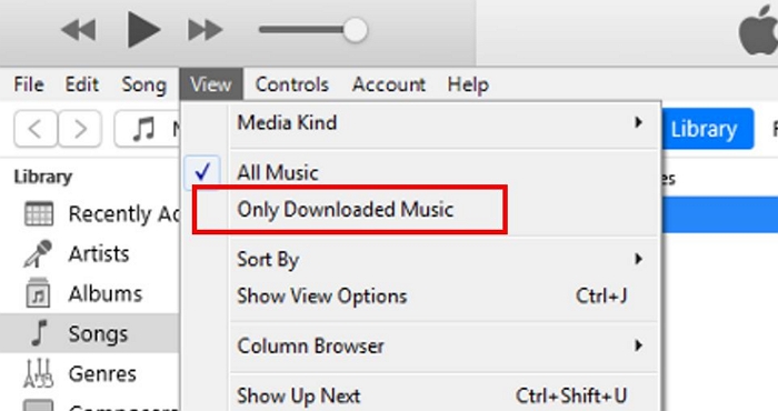 iTunes window | How Many Songs You Have on Apple Music