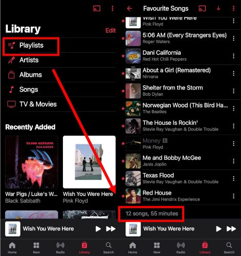 view total song count | How Many Songs You Have on Apple Music