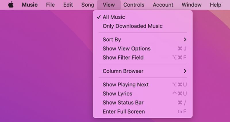 select Show Status Bar | How Many Songs You Have on Apple Music