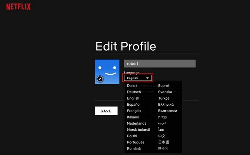 selected language | how to change language on Netflix
