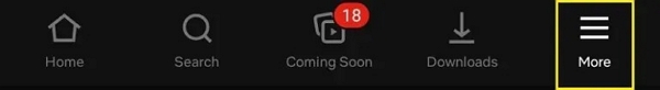 Launch the Netflix application | how to change language on Netflix