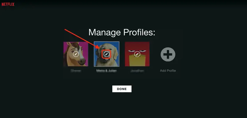 confirm your new profile image | how to change profile picture on Netflix
