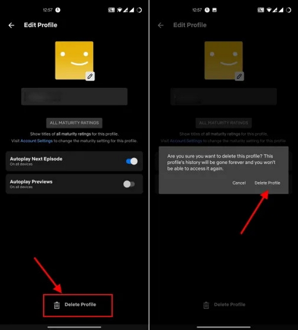 Delete Profile Web Browser | how to change profile picture on Netflix