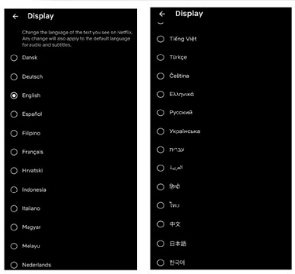 overriding your Netflix profile language | how to change language on Netflix