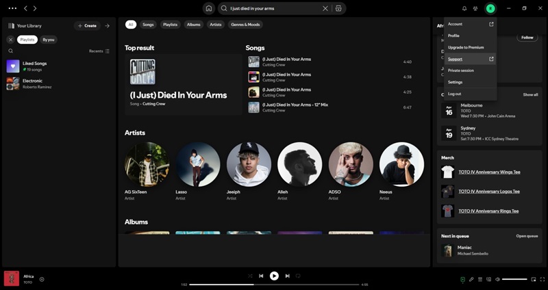 choose Support | Spotify Karaoke Mode