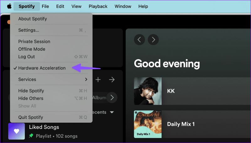 Hardware Acceleration off | Fix Spotify Black Screen