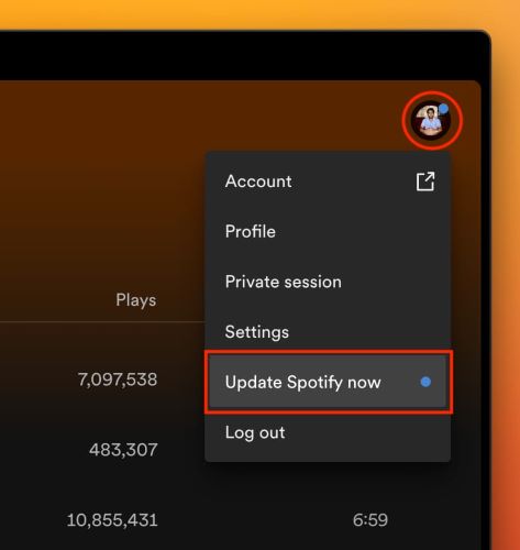 install update | Spotify Search Not Working
