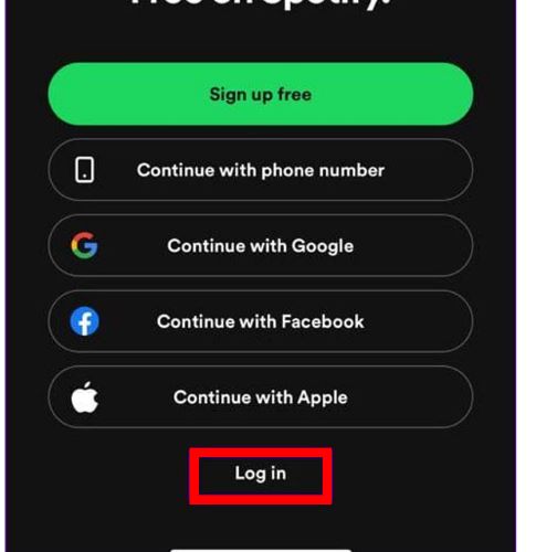 reopen Spotify | Spotify Search Not Working