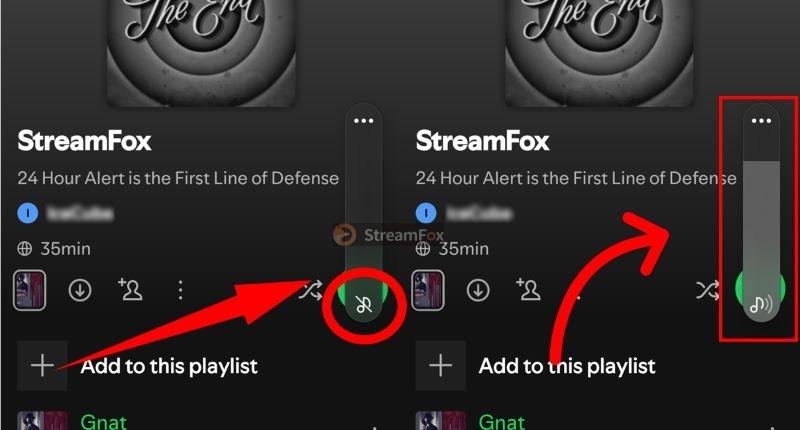 unmute Android | Spotify Playing but No Sound