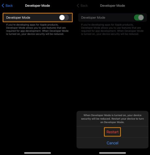 toggle on Developer Mode | Spotify++
