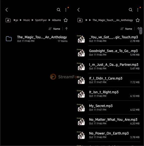 find SpotiFlyer extracted MP3 | Extract Spotify Songs