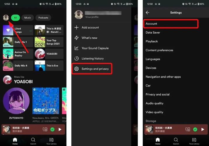 select Account | Spotify Family Plan
