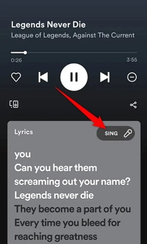 adjust volume | Spotify Karaoke Mode