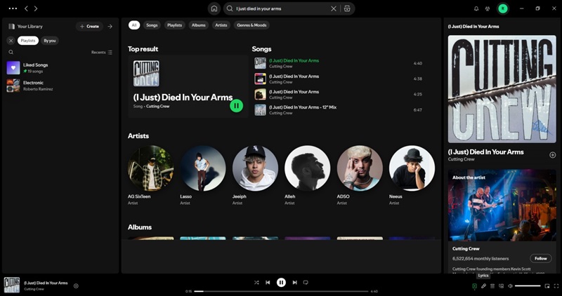 run Spotify | Spotify Karaoke Mode