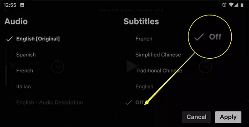 subtitles area | how to remove subtitles on Netflix