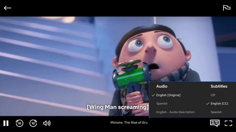 subtitles section | how to remove subtitles on Netflix