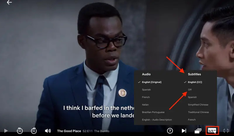 Subtitles setting | how to remove subtitles on Netflix