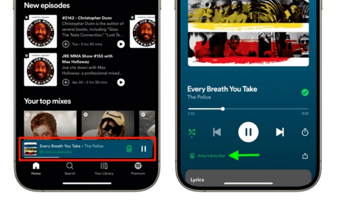 change songs | Play Spotify on Amazon Echo