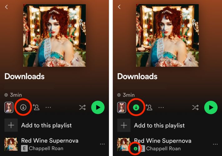 download songs | Play Spotify on Two Devices Simultaneously