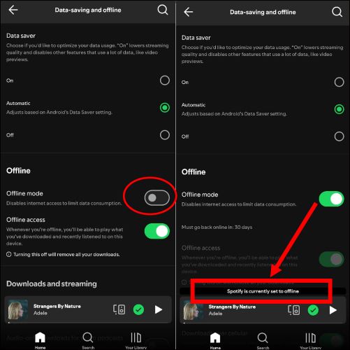 Offline Mode on | Play Spotify on Two Devices Simultaneously