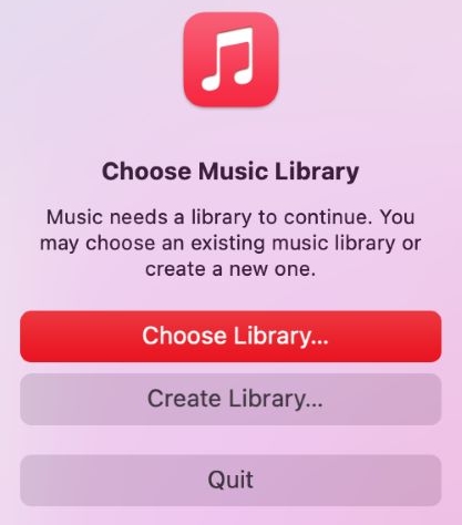 select Choose Library | Randomize Spotify Playlists