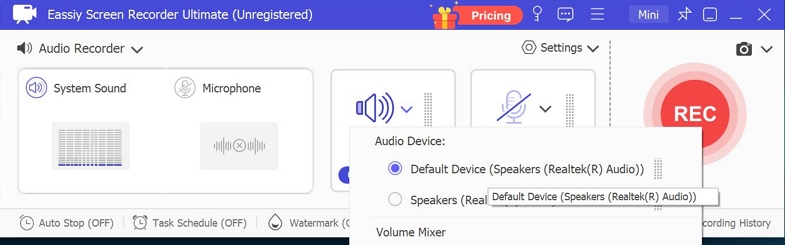 turn off Microphone