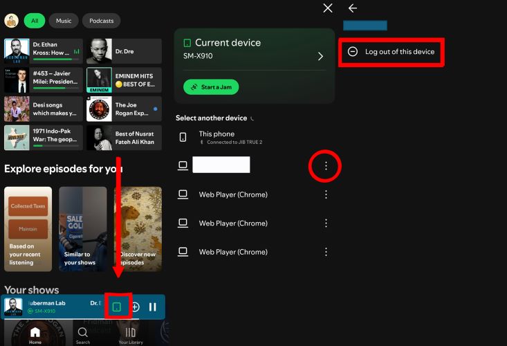 select Log out of this device | Log Out of All Devices on Spotify