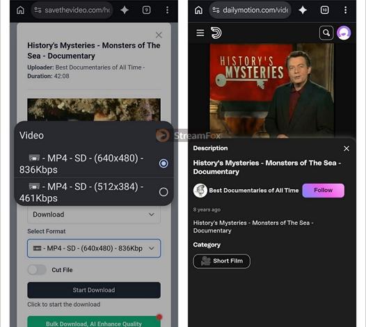 SaveTheVideo output version