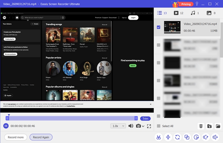 Eassiy built-in editor | Spotify to MP4