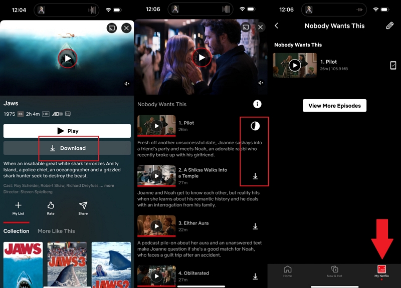wish to view from Netflix | watch Netflix video to TV