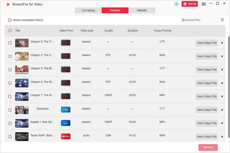 View Output File | watch Netflix video to TV