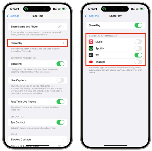 toggle off SharePlay | Stop Spotify from Automatically Playing