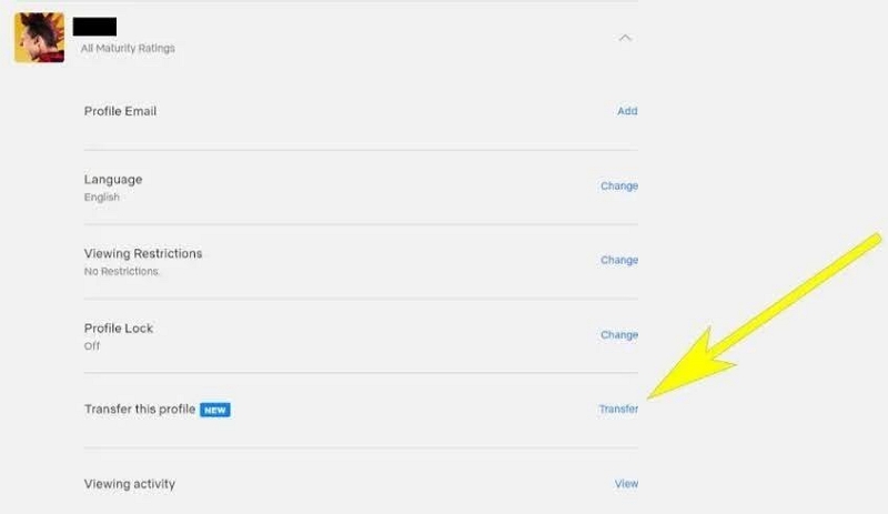 Initiate the Transfer | how to transfer netflix profile