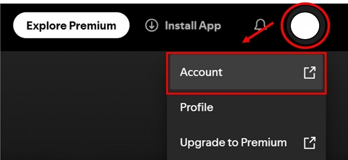 open Account Overview | You Can Only Use Spotify Abroad for 14 Days