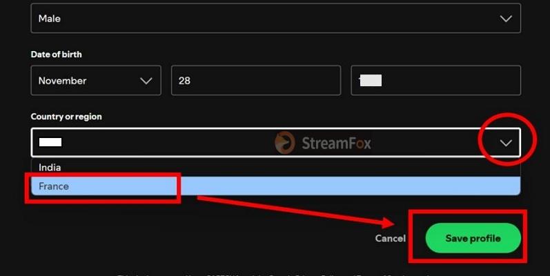 click Save Profile | You Can Only Use Spotify Abroad for 14 Days