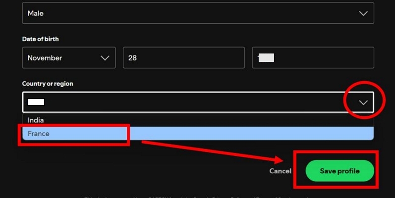 click Save Profile | You Can Only Use Spotify Abroad for 14 Days