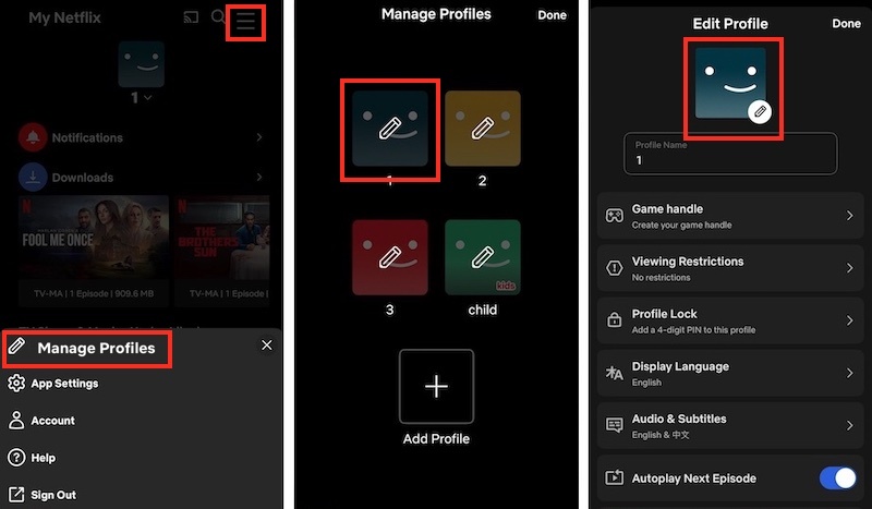 select your desired audio | how to change language on Netflix